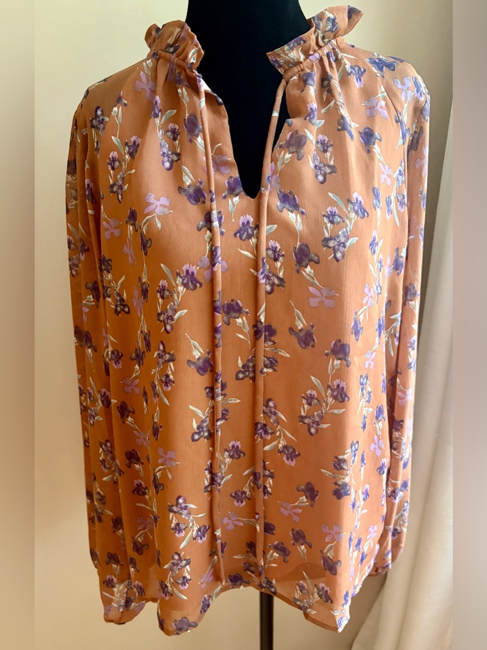 NWT Gilli Floral Ruffle Neck Tie Blouse Sheer Sleeves Lined Size Large